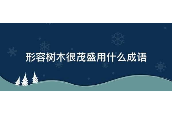树木什么成语