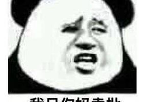 橘子的味道