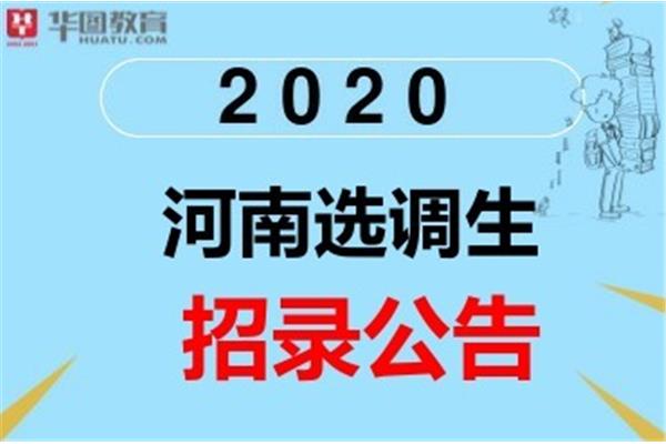河南选调生考试