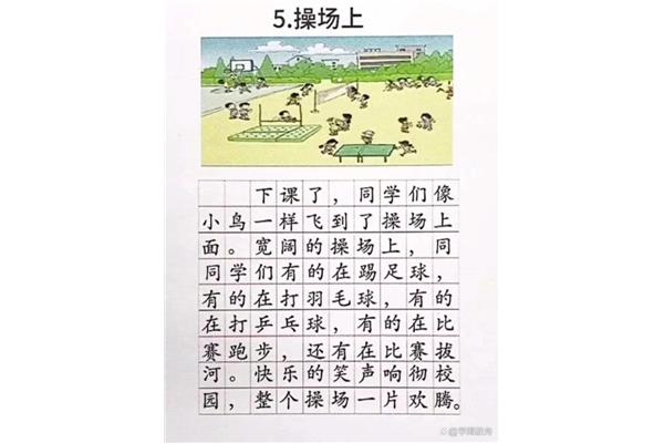 操场上看图写话