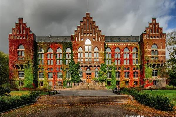 瑞典的大学