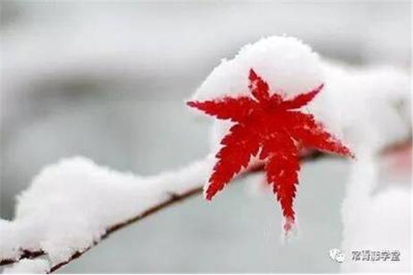 形容大雪的诗句