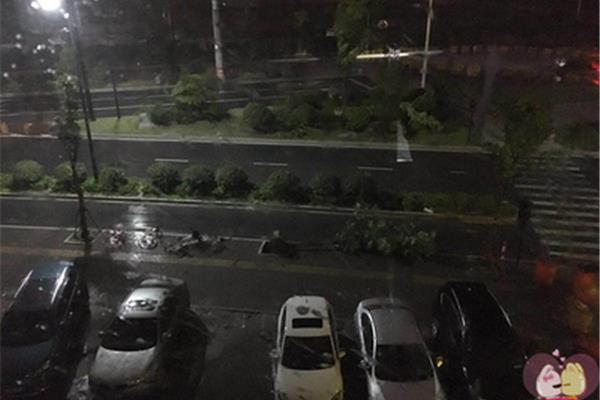 雷打不动的意思