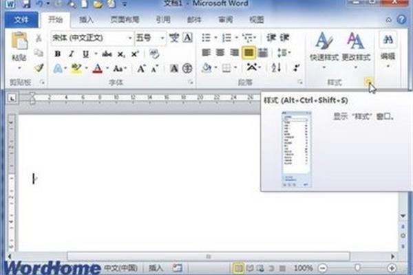 word2010