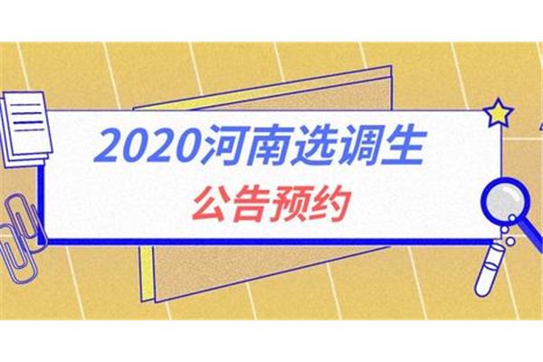河南选调生考试