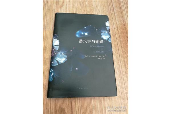 潜水衣与蝴蝶