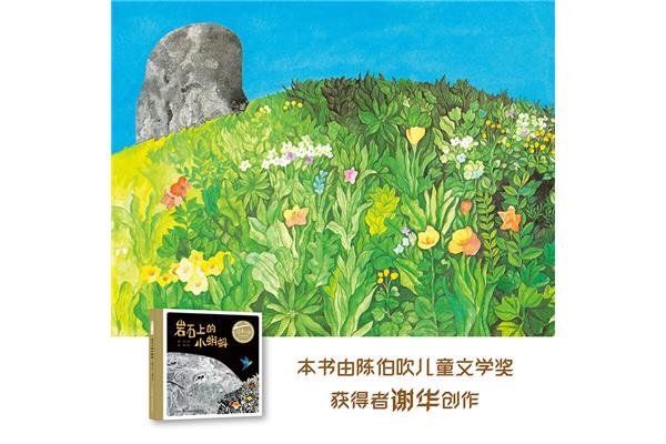 岩石上的小蝌蚪