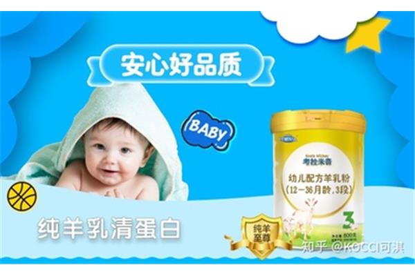 婴幼儿奶粉品牌