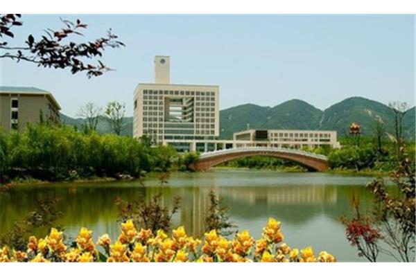重庆市大学