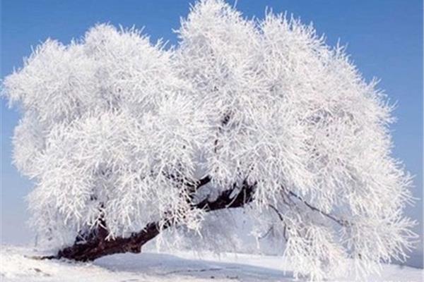 形容大雪的诗句