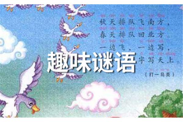 一群鸭子开会