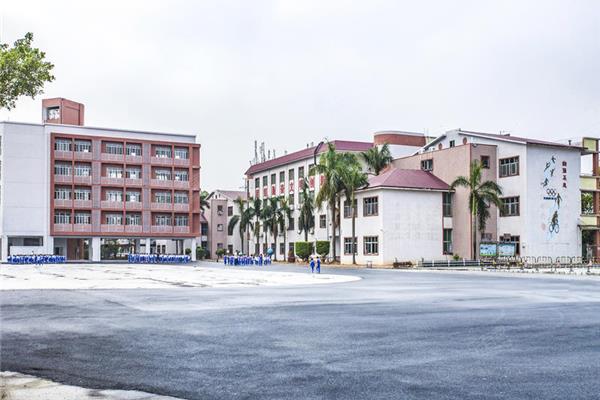 水田实验学校