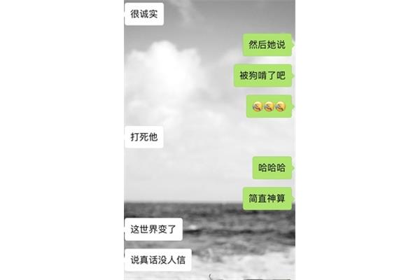 谎言的意思