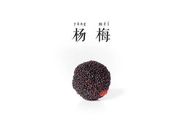 辞职报告范本
