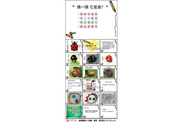 瓢虫的花衣裳