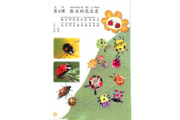 瓢虫的花衣裳