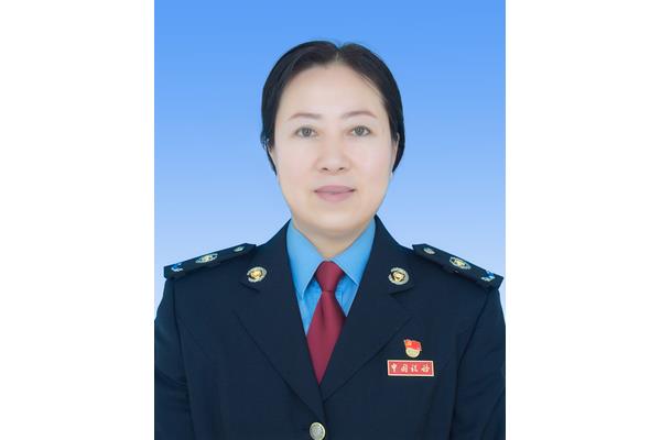 内蒙古国税