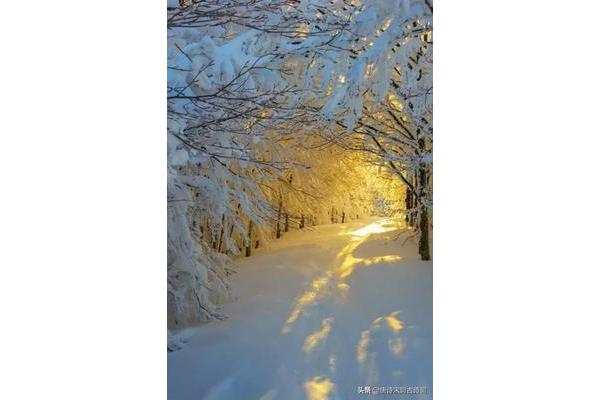 形容大雪的诗句