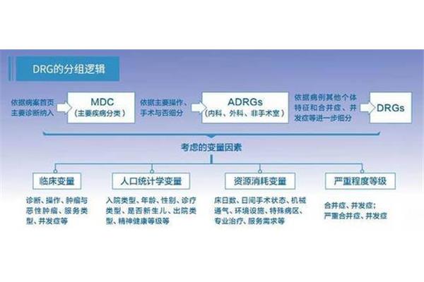 个体是什么工作