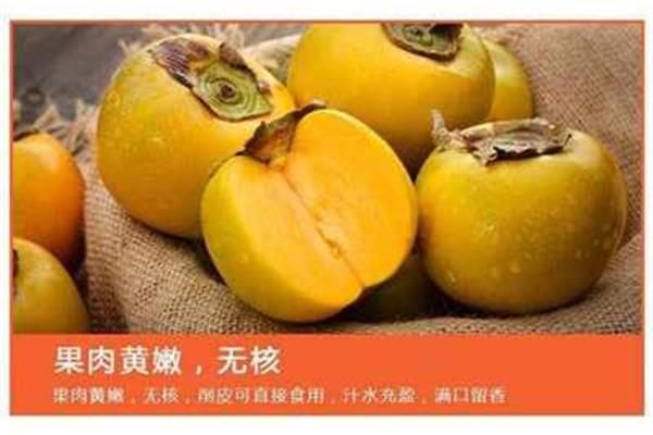 柿蒂的功效与作用