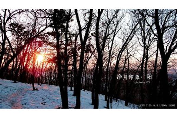 吉林长春旅游攻略