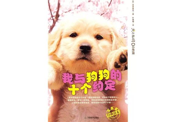 和狗狗的十个约定