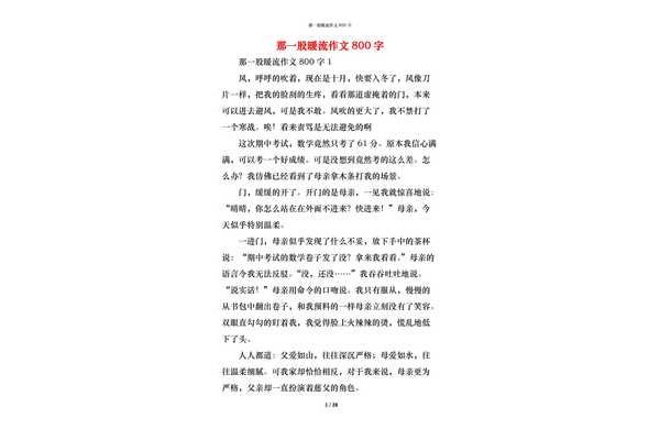 那一股暖流作文