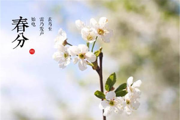 卜算子的读音