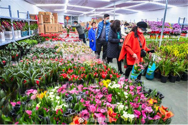 武汉花卉批发市场
