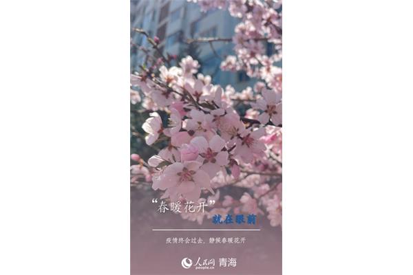 春暖花开行吧有你