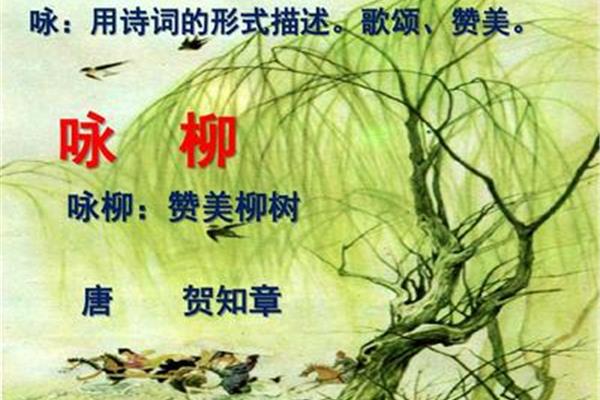 柳树的古诗