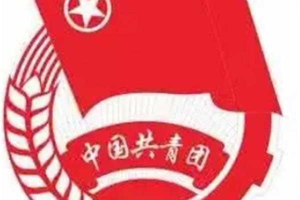 团员什么时候入团