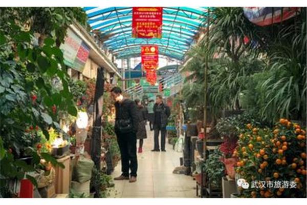 武汉花卉批发市场