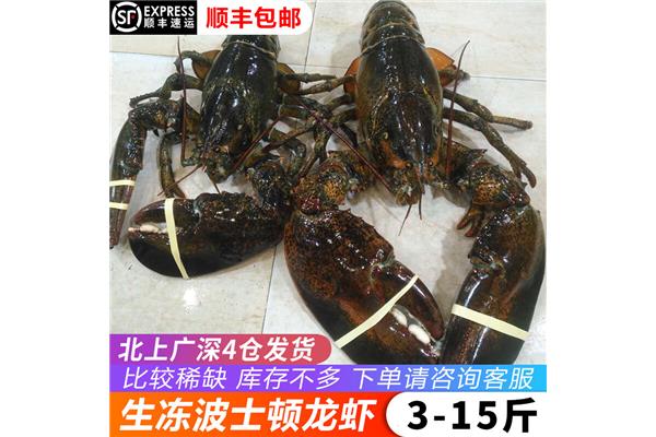 黄色小说细节描写