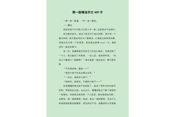 那一股暖流作文