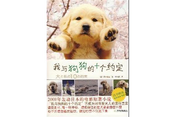 和狗狗的十个约定