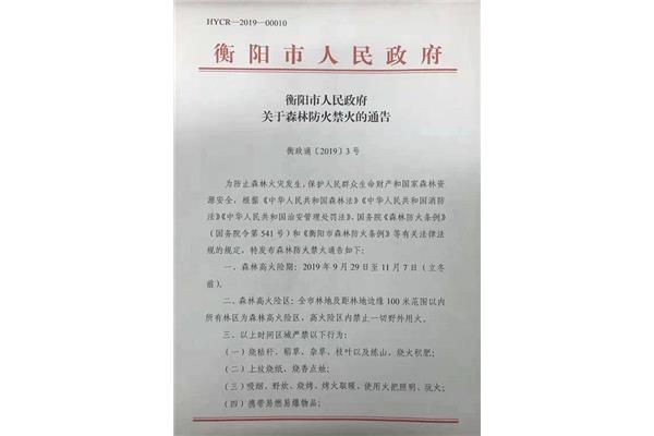 公告怎么写