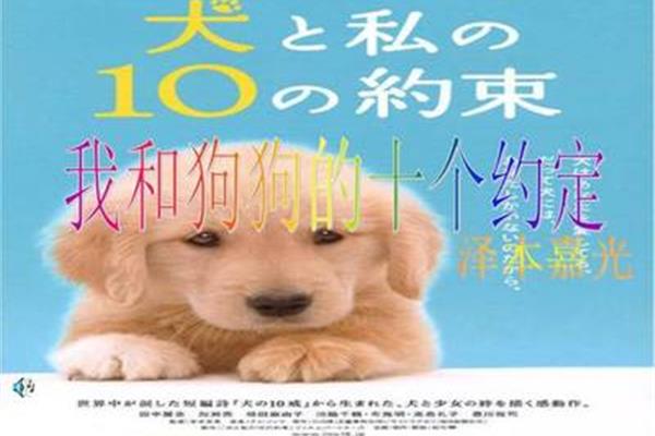 和狗狗的十个约定