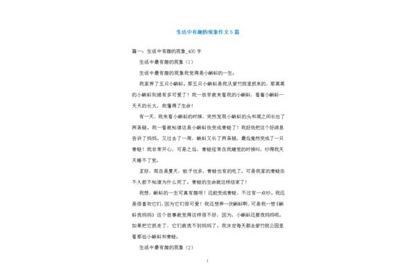 有趣的作文