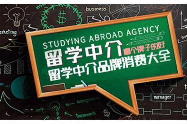 出国留学的中介