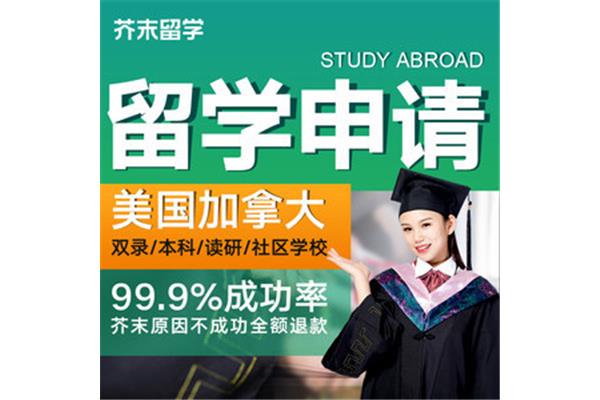 研究生留学咨询