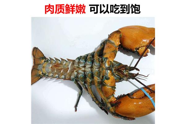 黄色小说细节描写