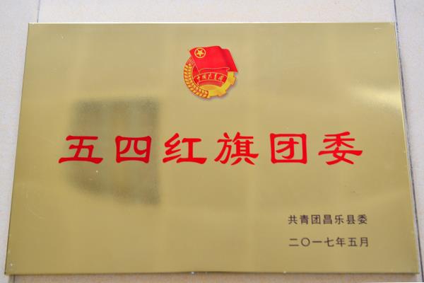 五四红旗团委