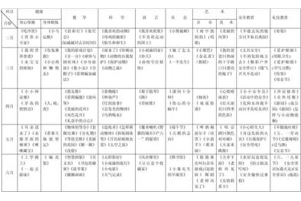 大班教学计划