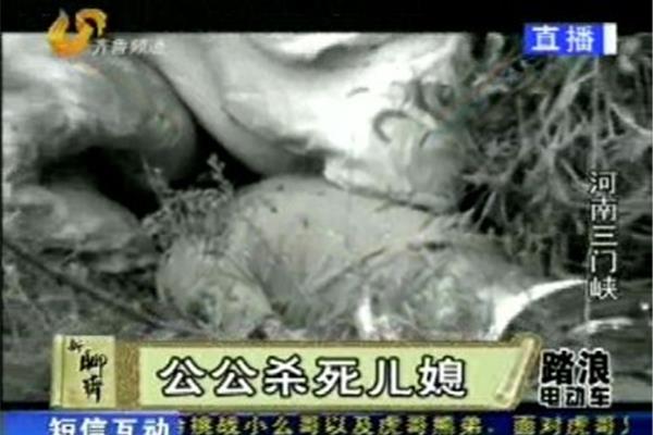 健健和月月