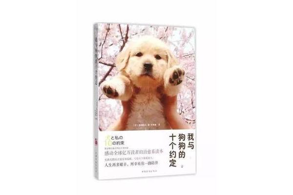 和狗狗的十个约定