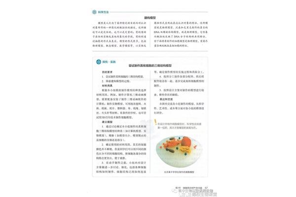 电子课本人教版