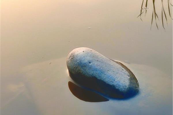 水落石出打一字