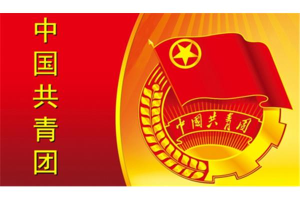 团员什么时候入团