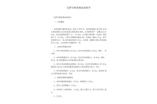 财务情况说明